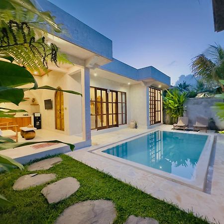 Nick Villa Ubud Esterno foto